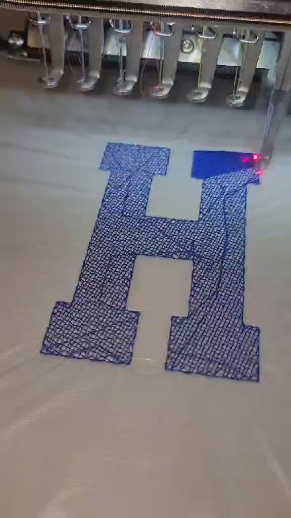 Custom HBCU Embroidered Sweatshirt/Hoodie